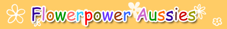 banner.jpg