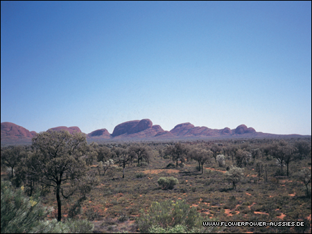 australien.jpg